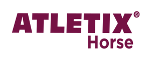 Atletix Horse